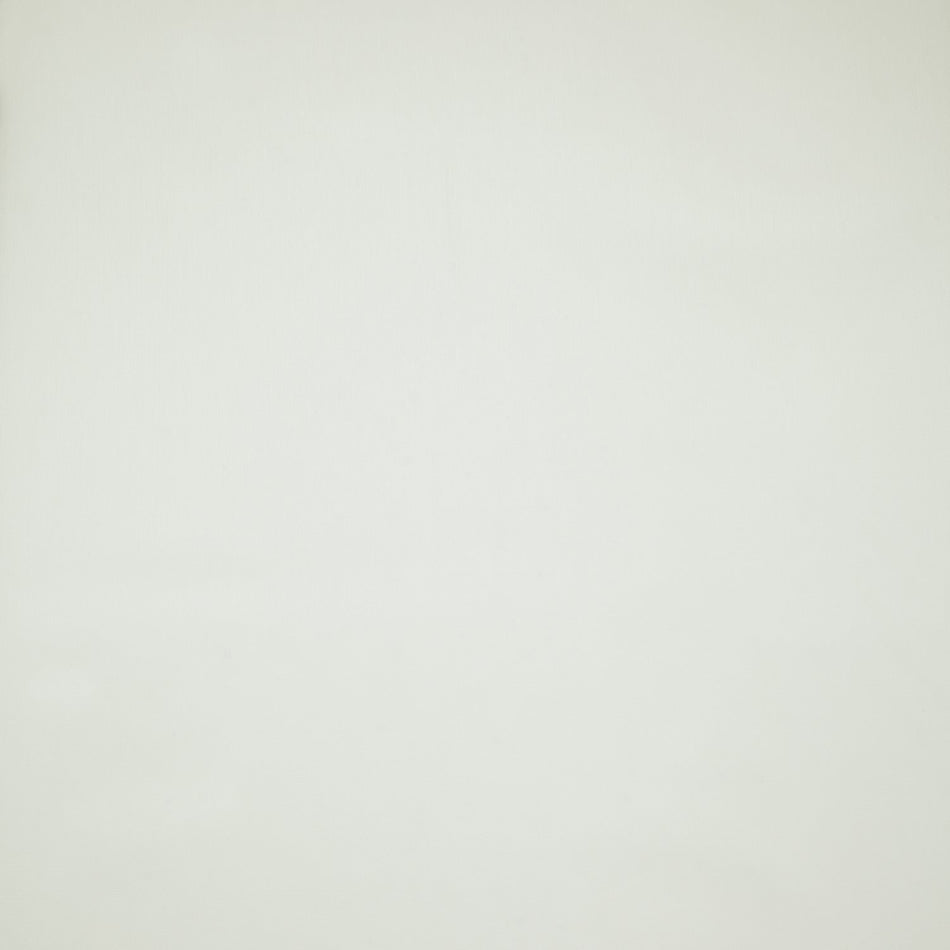 Iliv Plains & Textures Cirrus Oyster Fabric