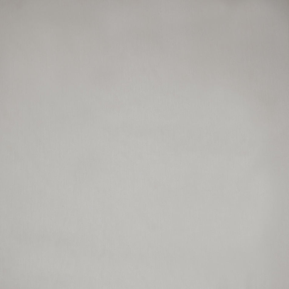Iliv Plains & Textures Cirrus Taupe Fabric