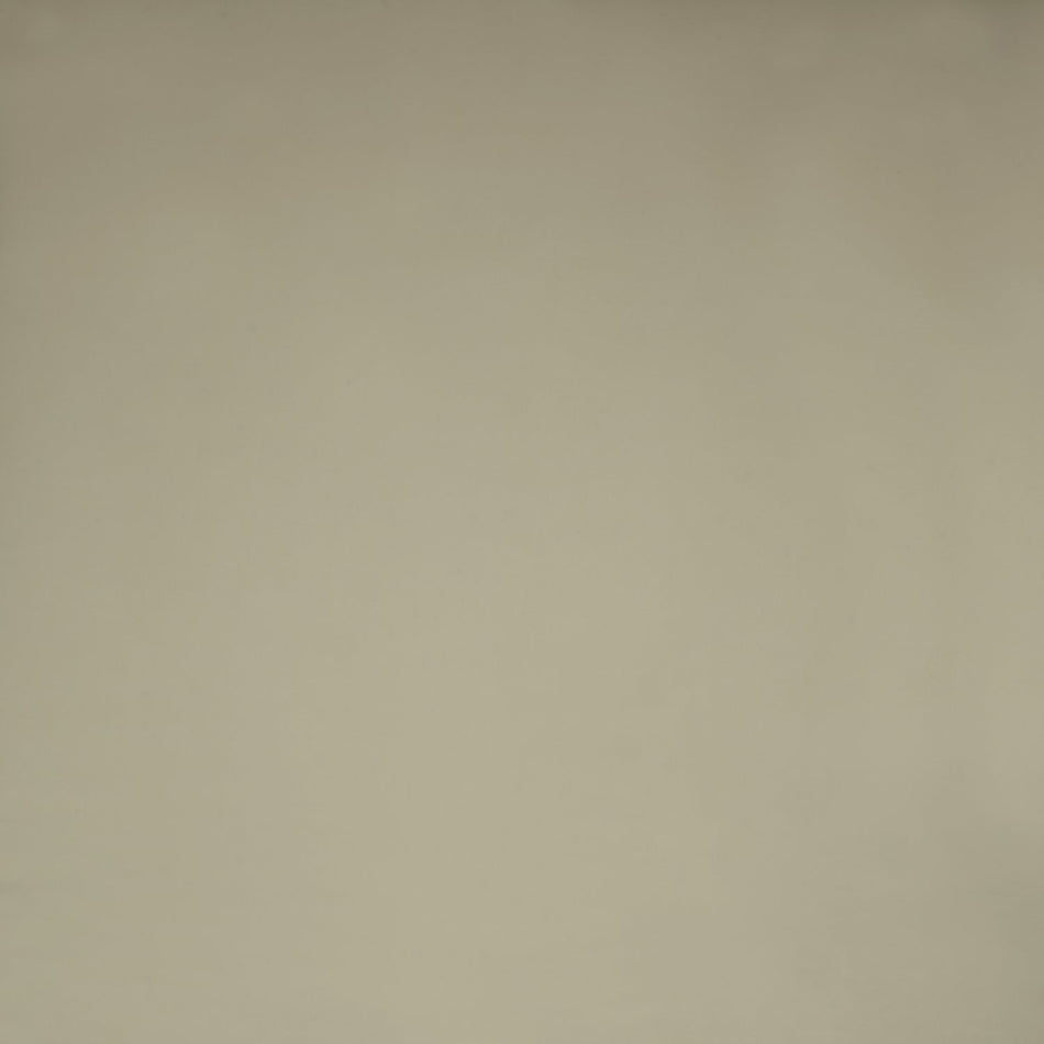 Iliv Plains & Textures Malmo Natural Fabric
