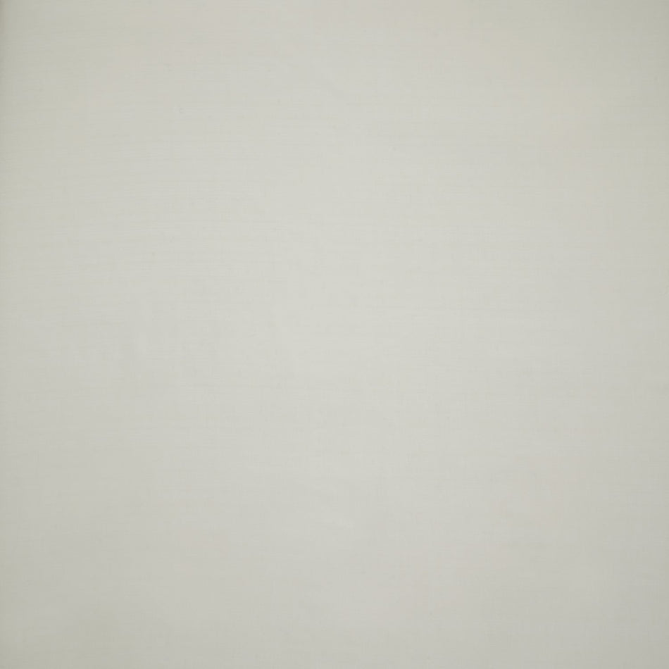 Iliv Plains & Textures Pearl Cream Fabric