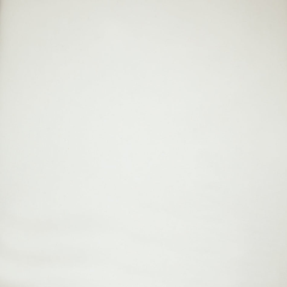 Iliv Plains & Textures Serene Oyster Fabric