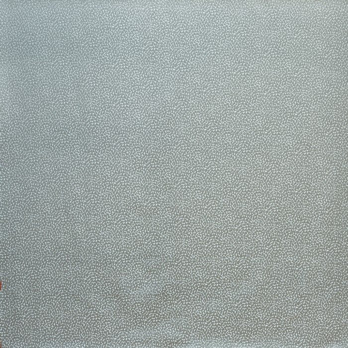 Prestigious Orion Crater Carbon Fabric