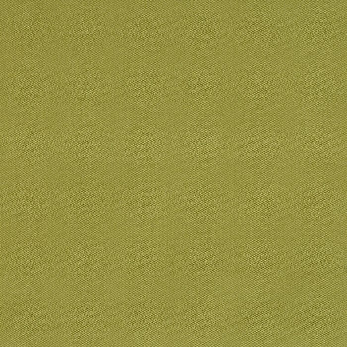 Prestigious Cheviot Hexham Grass Fabric