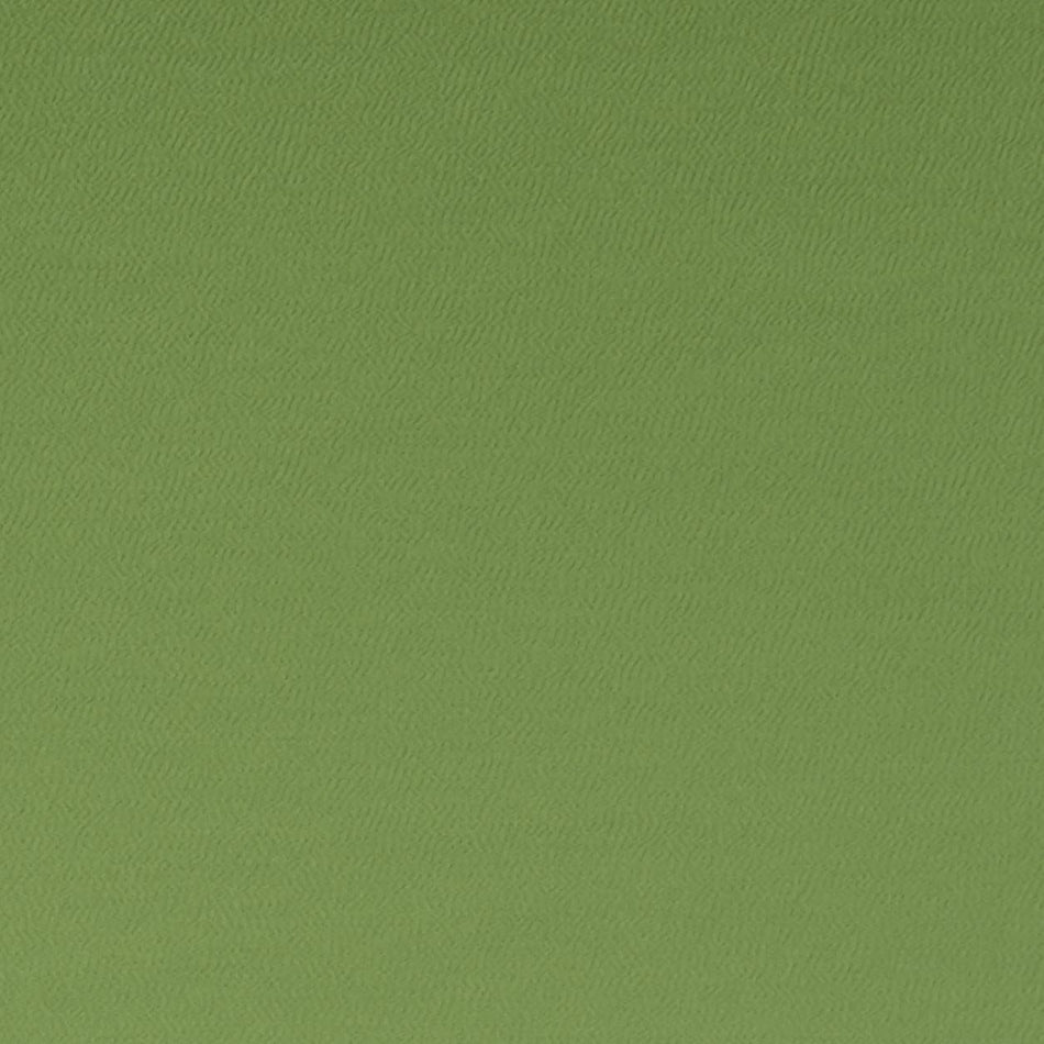 Clarke & Clarke Spectrum Oregano Fabric