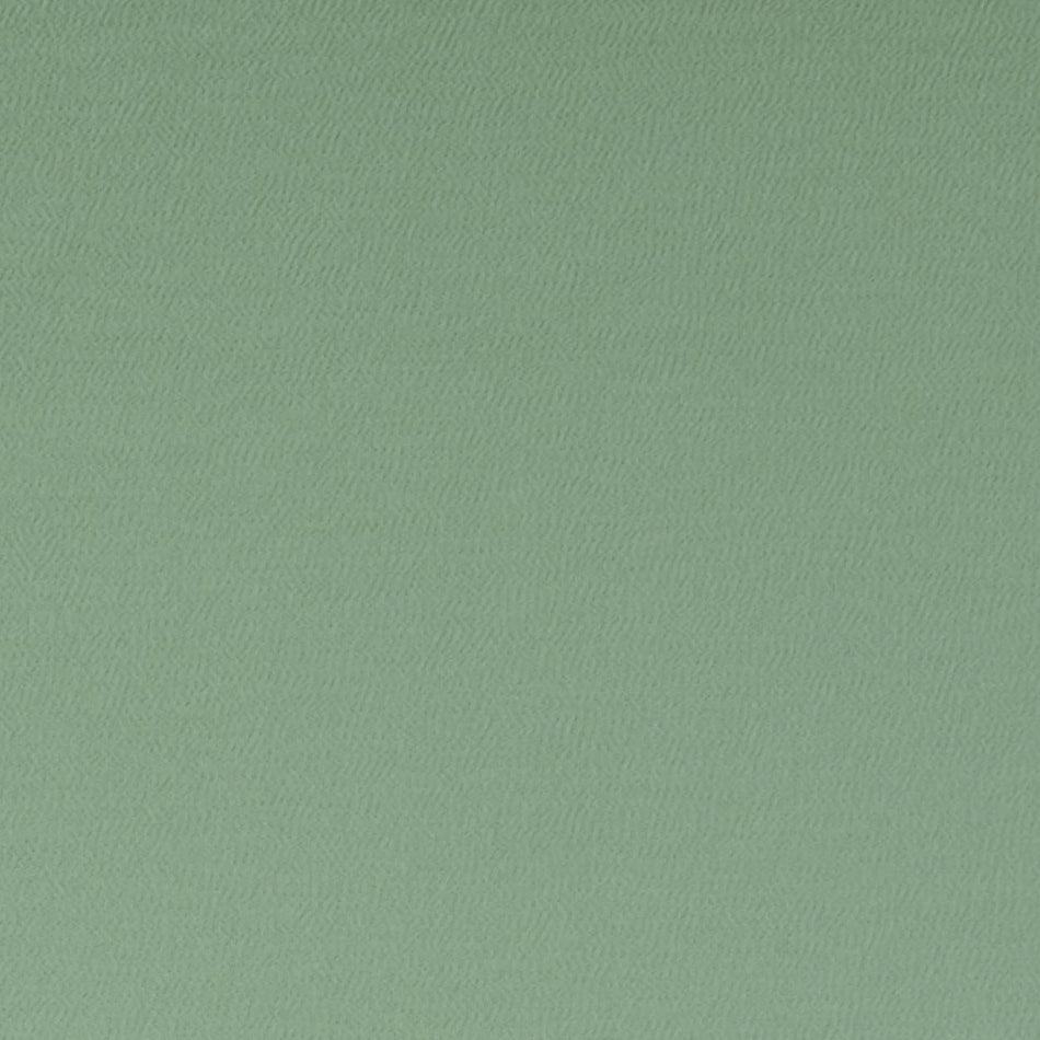 Clarke & Clarke Spectrum Thyme Fabric