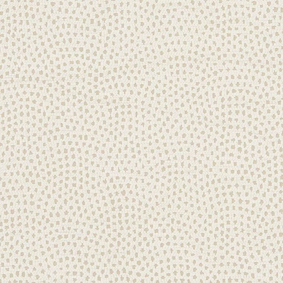 Clarke & Clarke Equinox Nebula Ivory Fabric