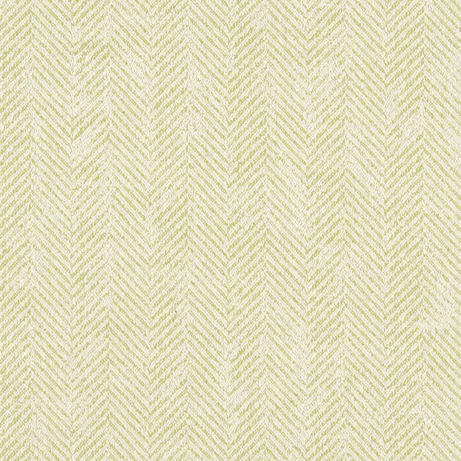Clarke & Clarke Heritage Ashmore Citron Fabric
