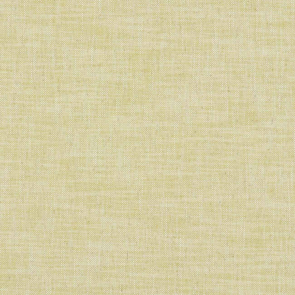Clarke & Clarke Heritage Milton Citron Fabric
