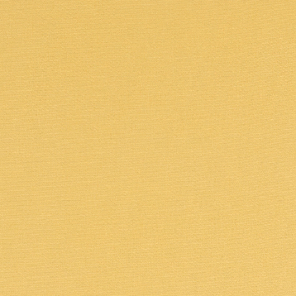 Studio G Alora Buttercup Fabric