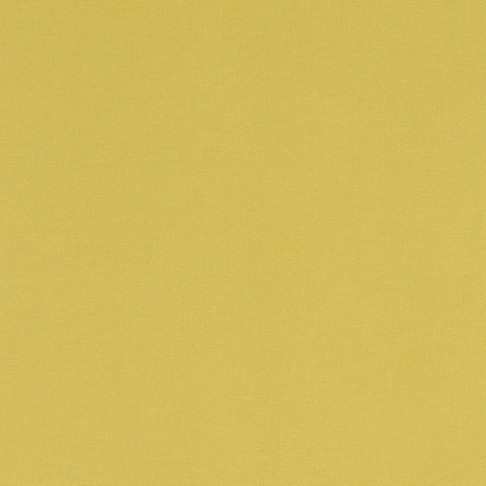 Studio G Alora Celery Fabric