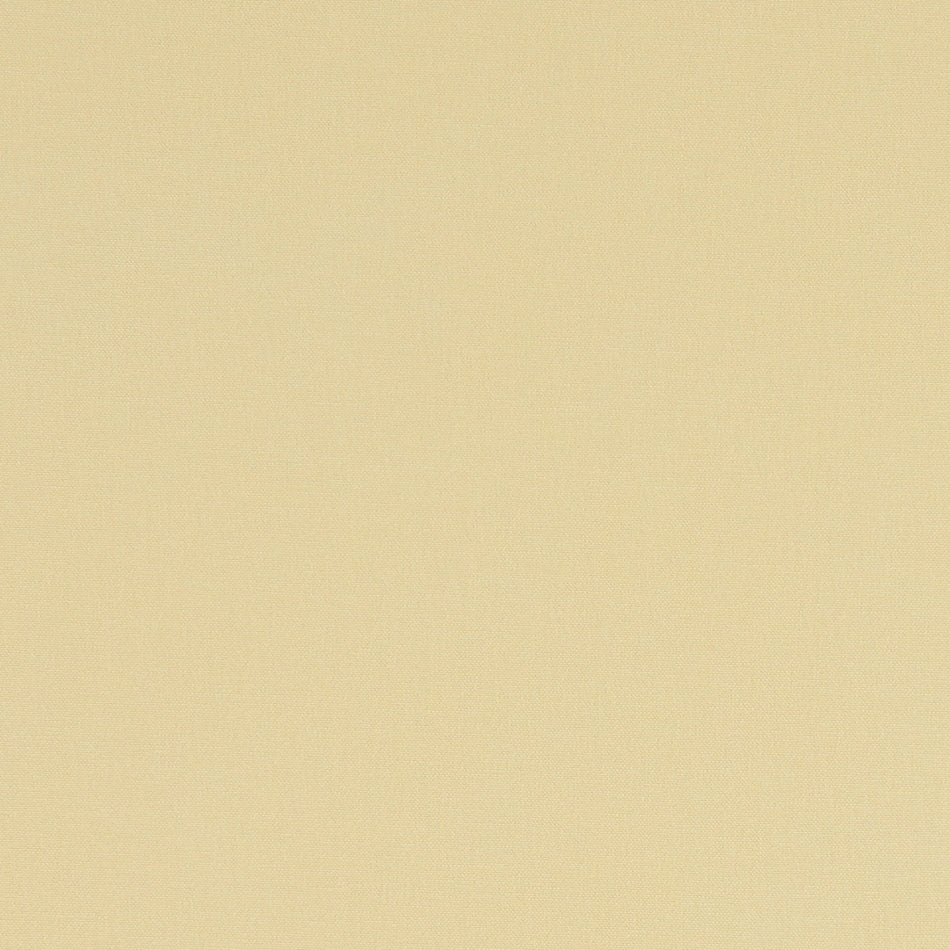 Studio G Alora Straw Fabric