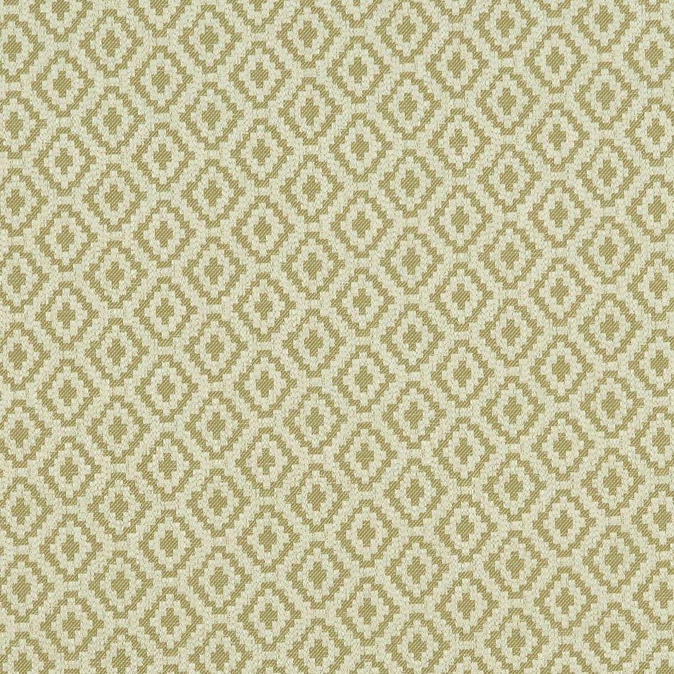 Clarke & Clarke Castle Garden Keaton Olive Fabric