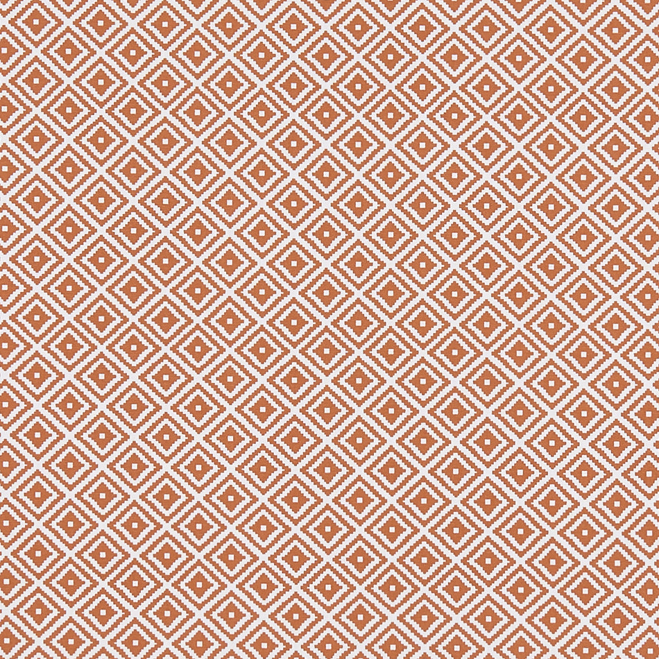 Studio G Co-ordinates Kiki Spice Fabric