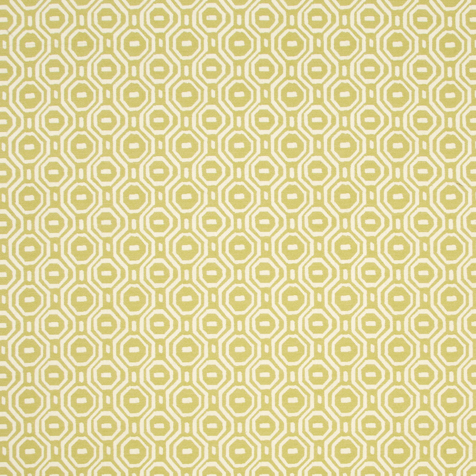 Studio G Wildernes Gotska Olive Fabric