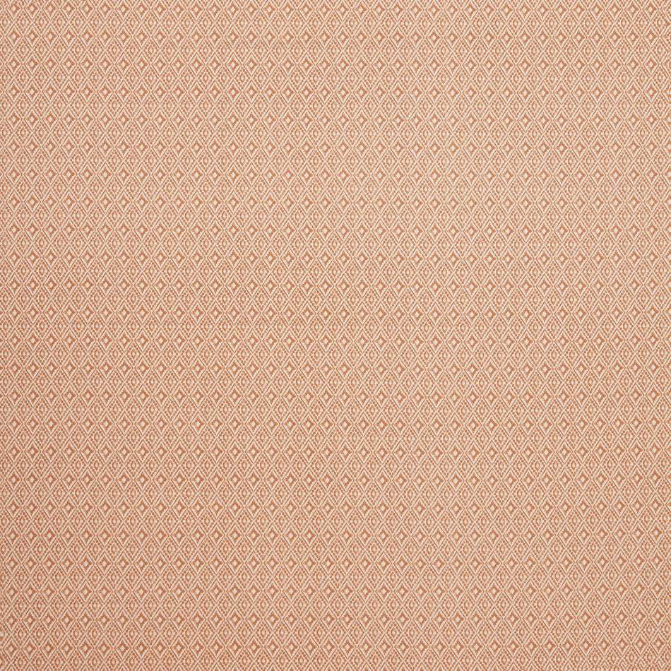 Iliv Navajo Aztec Henna Fabric