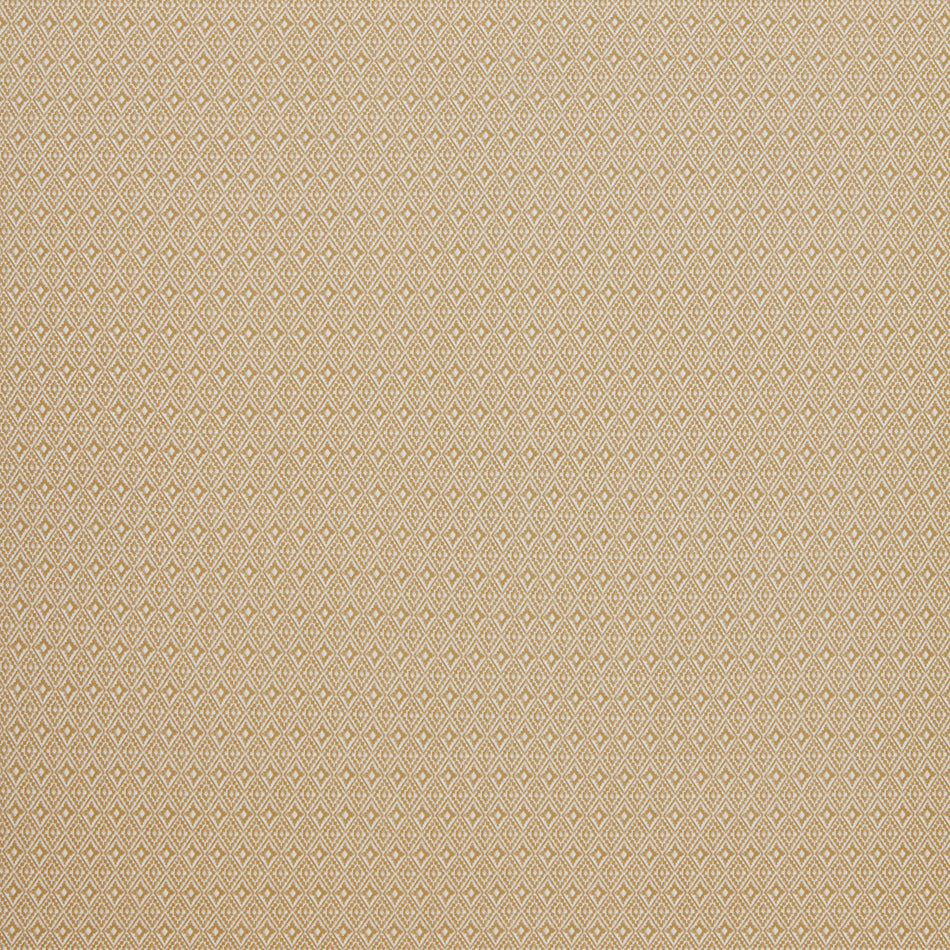 Iliv Navajo Aztec Ochre Fabric