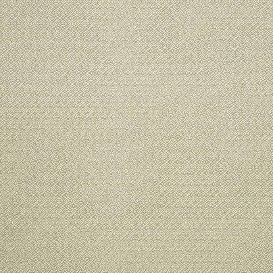 Iliv Navajo Aztec Pampas Fabric