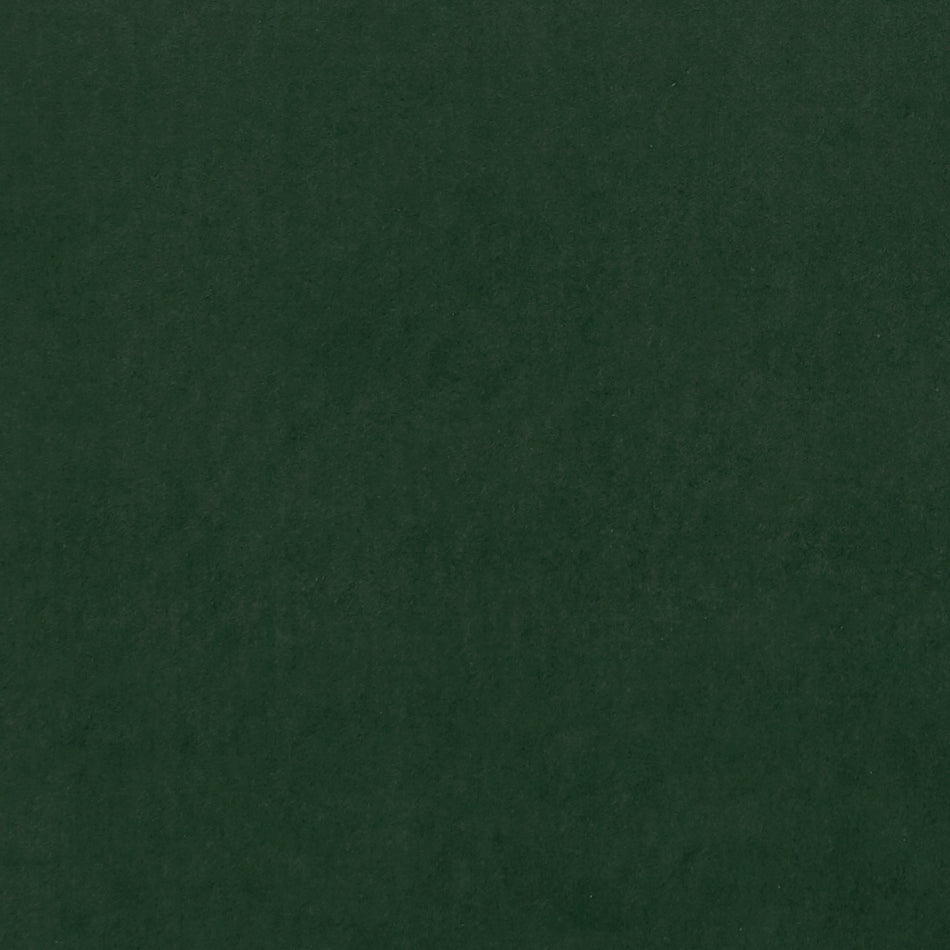 Clarke & Clarke Alvar 2 Emerald Fabric