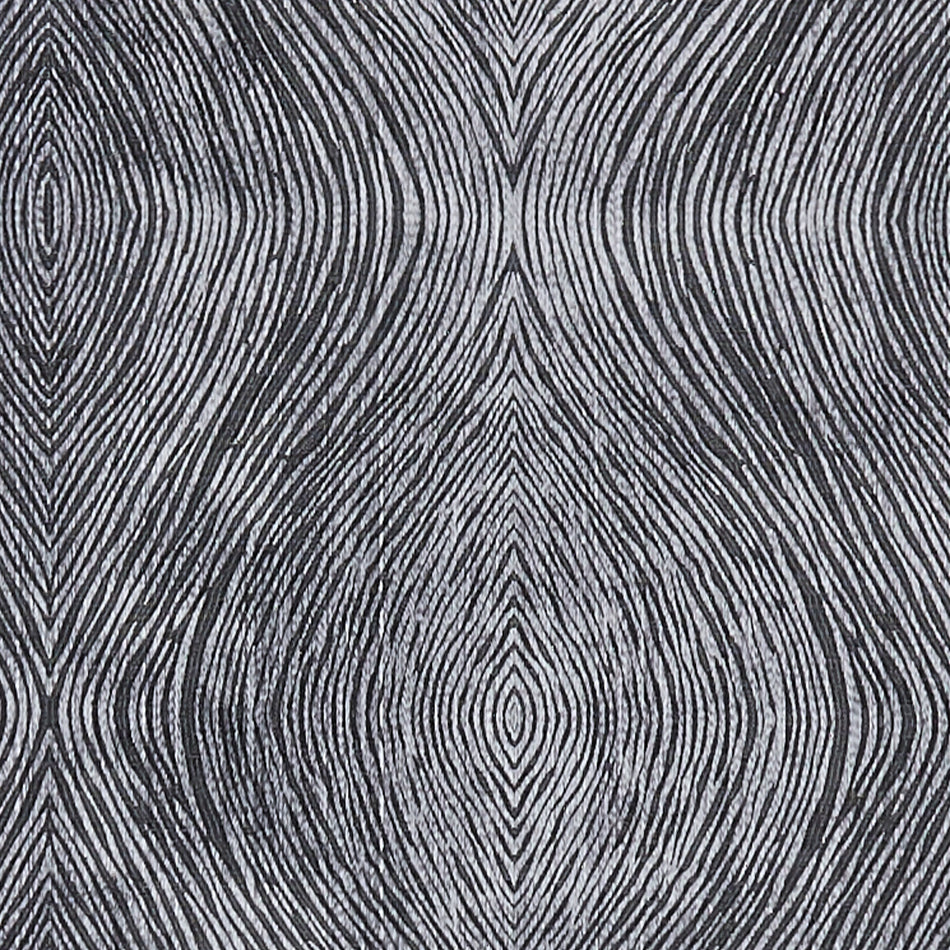 Clarke & Clarke Diffusion Luster Charcoal Fabric