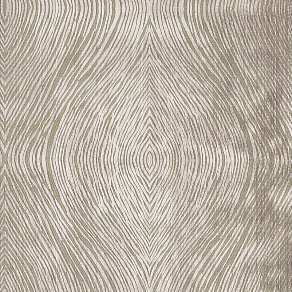 Clarke & Clarke Diffusion Luster Mocha Fabric