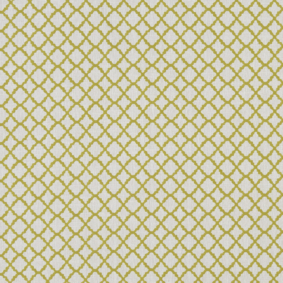 Clarke & Clarke Prince of Persia Ariyana Chartreuse Fabric