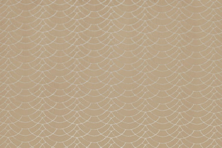 Kai Aravalli Dinaric Gold Fabric