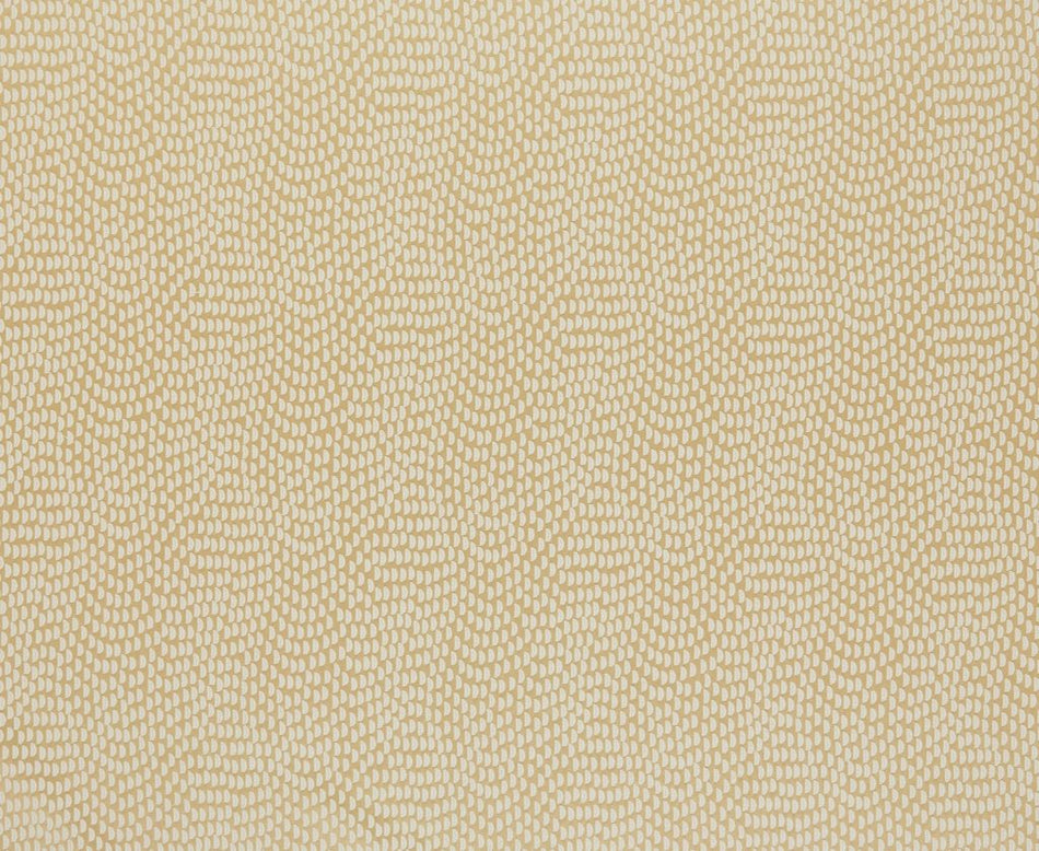 Kai Aravalli Sudetes Gold Fabric
