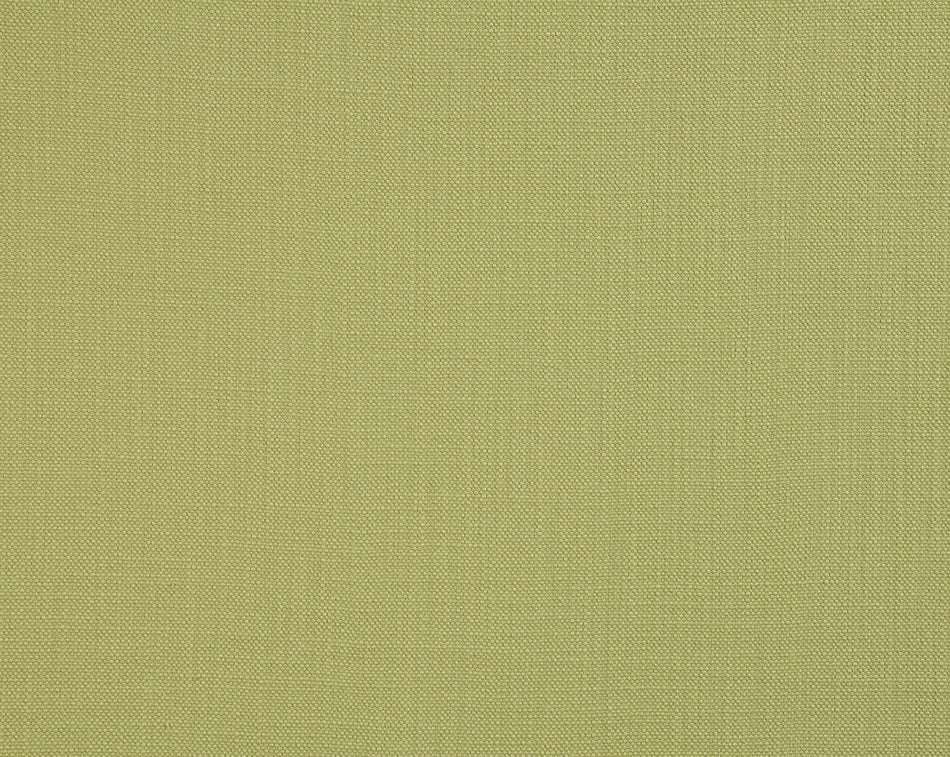 Fryetts Savanna Apple Fabric