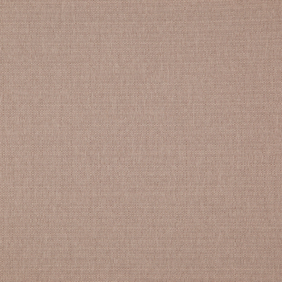 Wemyss Bainbridge Champagne FR Fabric