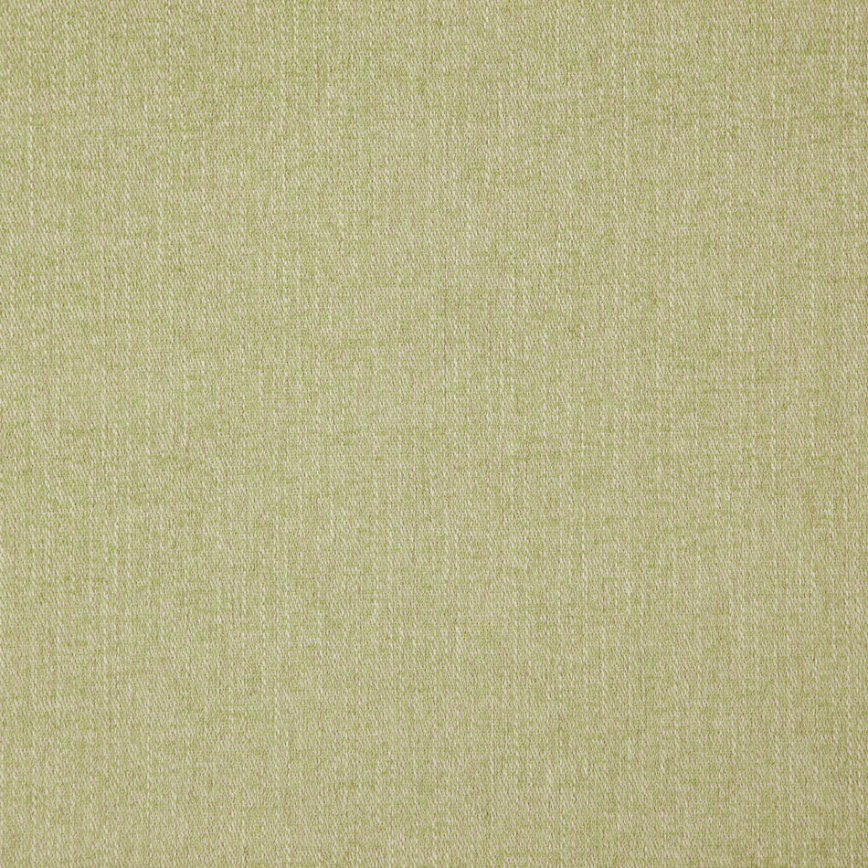 Wemyss Croft Fern Fabric