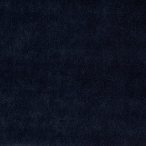 Wemyss Riga Midnight Fabric
