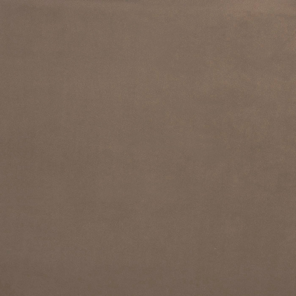 Prestigious Textiles Majestic Belgravia Camel Fabric