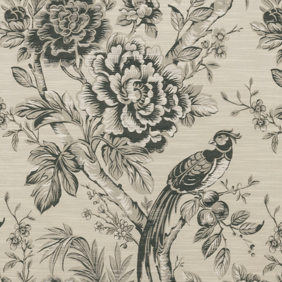 Clarke & Clarke Botanist Avium Charcoal