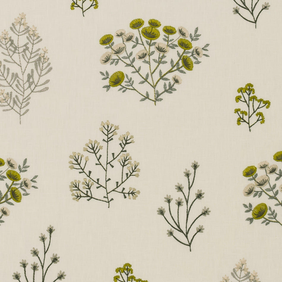 Clarke & Clarke Botanist Floris Chartreuse