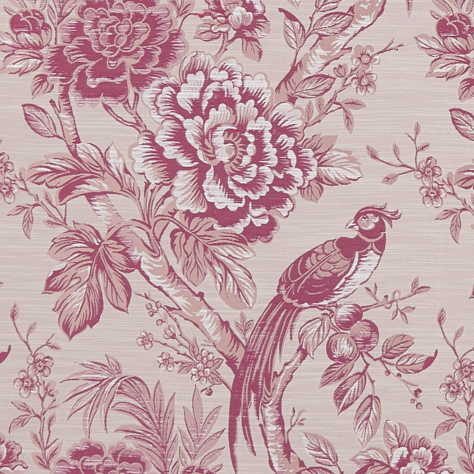 Clarke & Clarke Botanist Avium Raspberry
