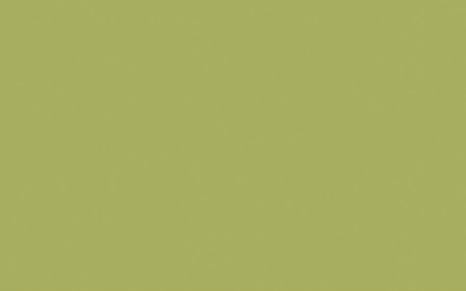 Little Greene Paint Boxington (84)