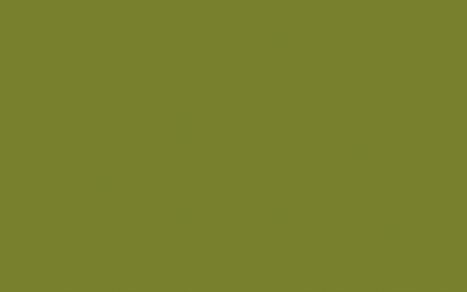 Little Greene Paint Citrine (71)