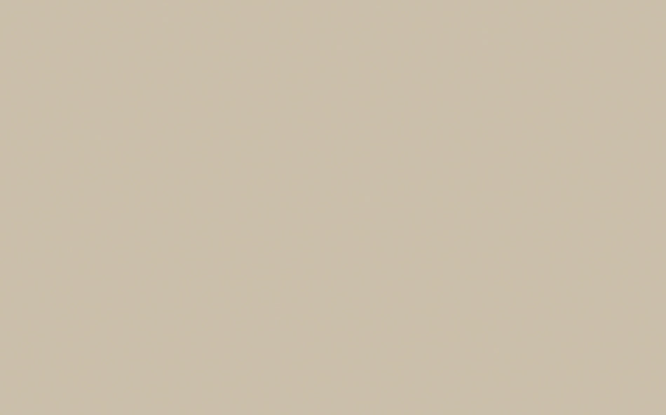 Little Greene Paint Motar (239)
