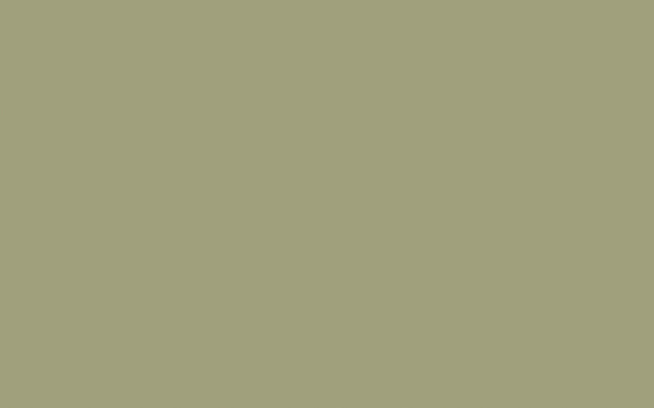 Little Greene Paint Normandy Grey (79)