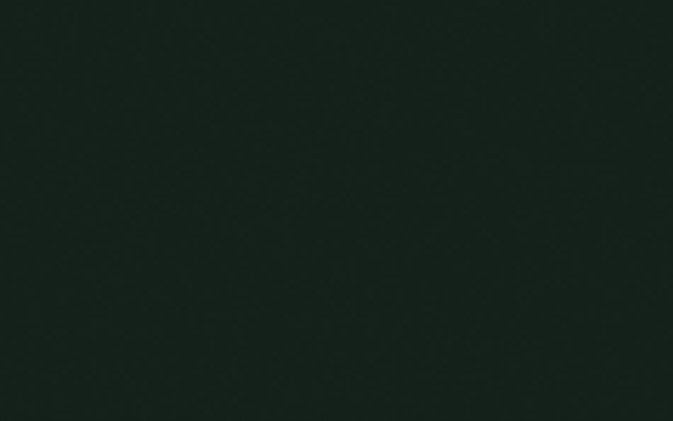 Little Greene Paint Obsidian Green (216)