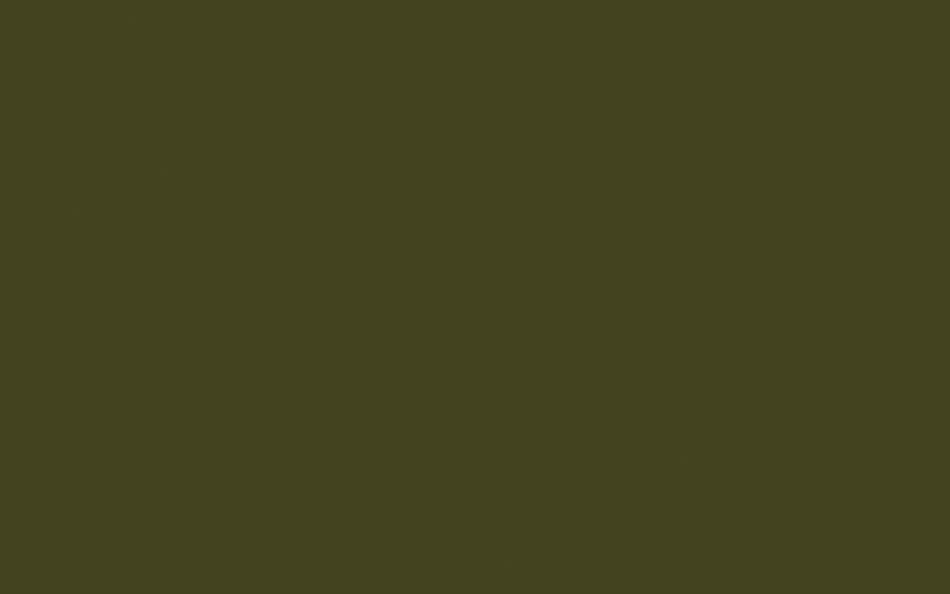 Little Greene Paint Olive Colour (72)