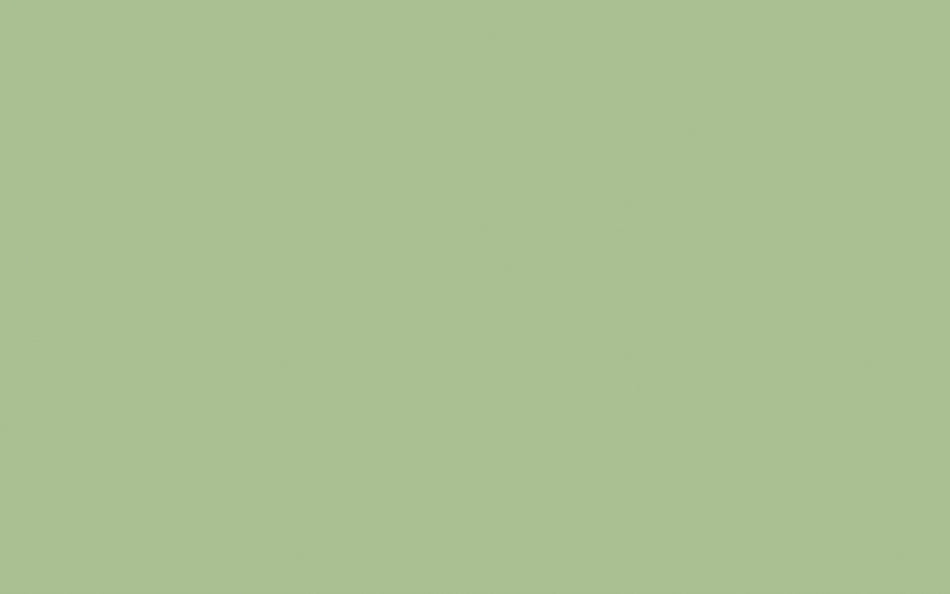 Little Greene Paint Pea Green (91)