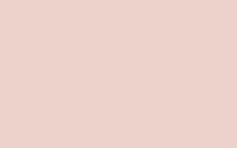 Little Greene Paint Pink Slip (220)
