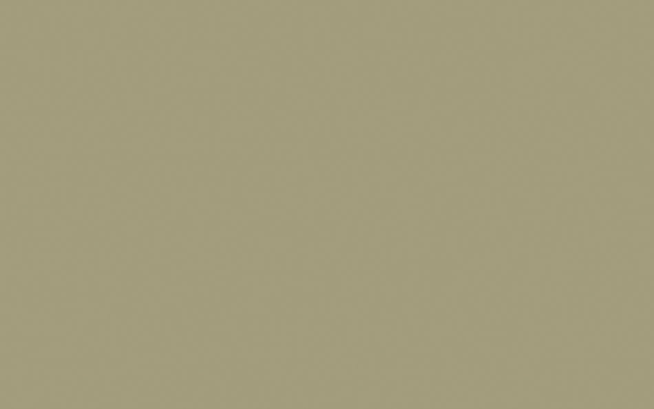 Little Greene Paint Portland Stone Dark (157)