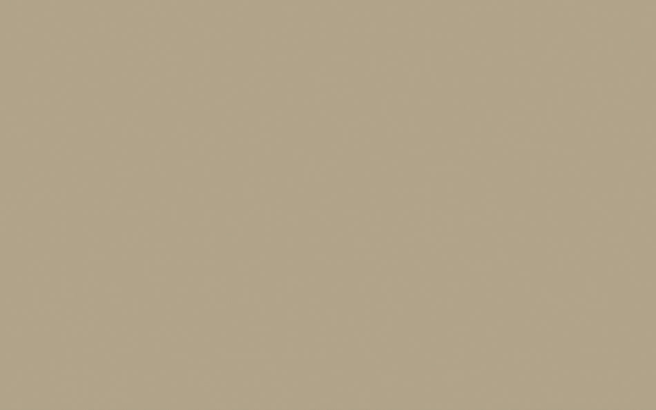 Little Greene Paint Rolling Fog Dark (160)