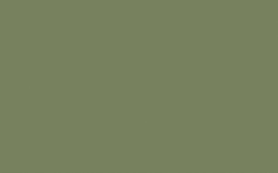 Little Greene Paint Sage Green (80)