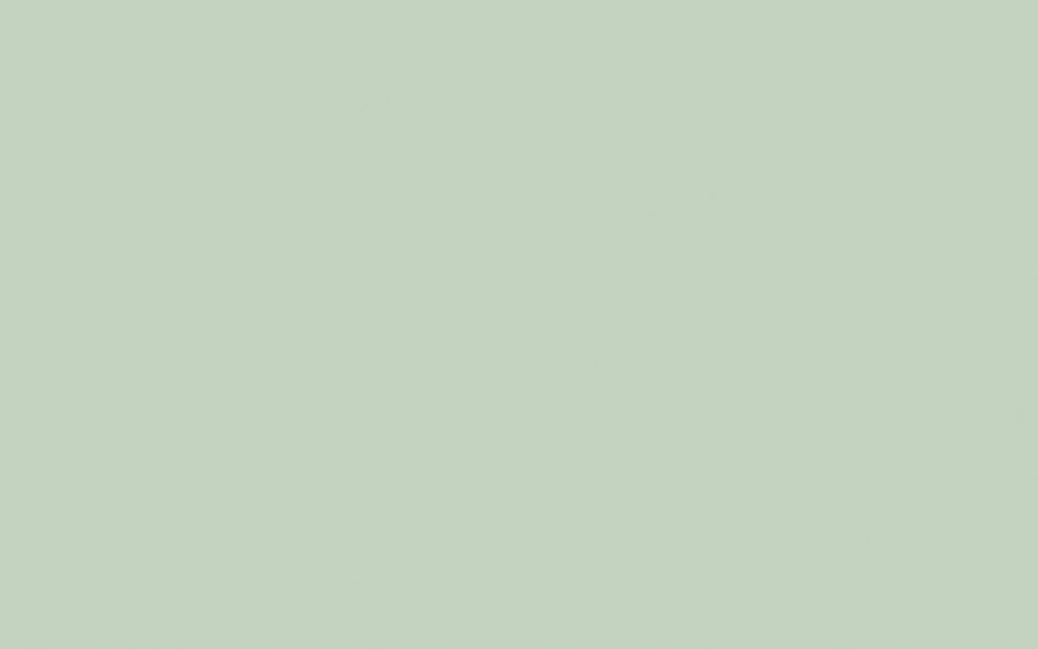 Little Greene Paint Salix (99)