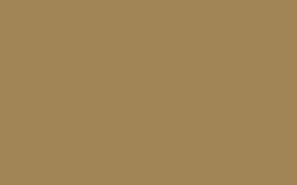 Little Greene Paint Stone Dark Warm (36)
