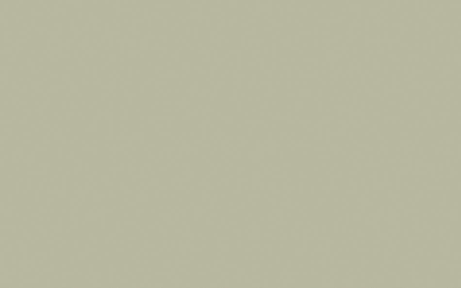 Little Greene Paint Tracery II (78)
