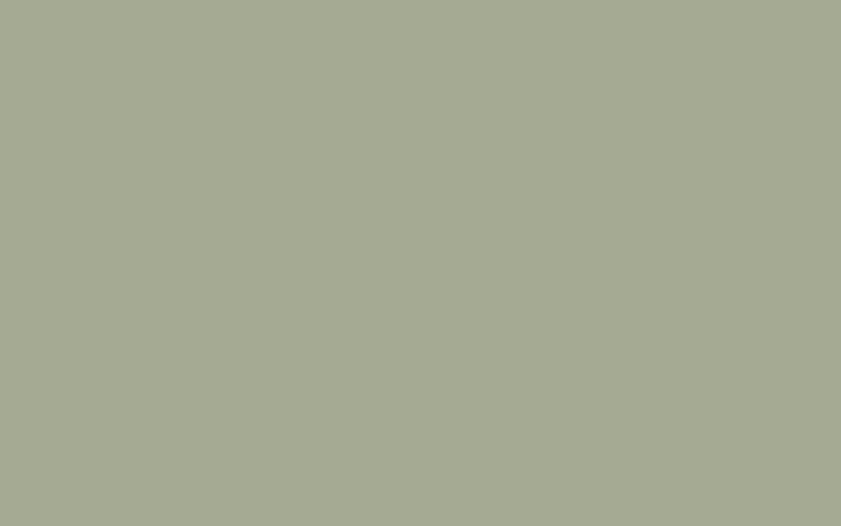 Little Greene Paint Borringdon Green (295)